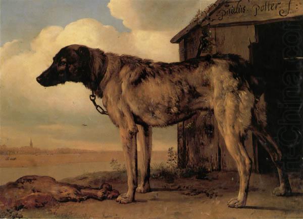 Watchdog, POTTER, Paulus